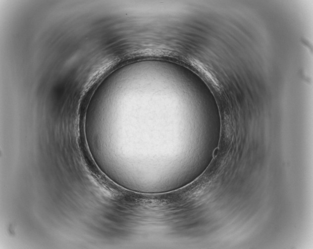 X0000095520486200712281503