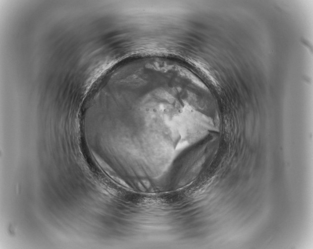 X0000095520487200712281503