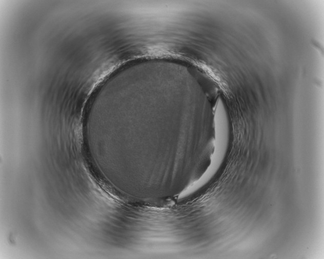 X0000095520488200712281503