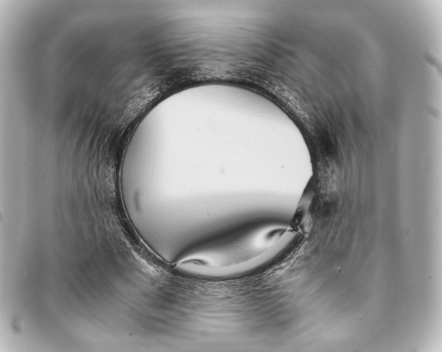 X0000095520489200712281503