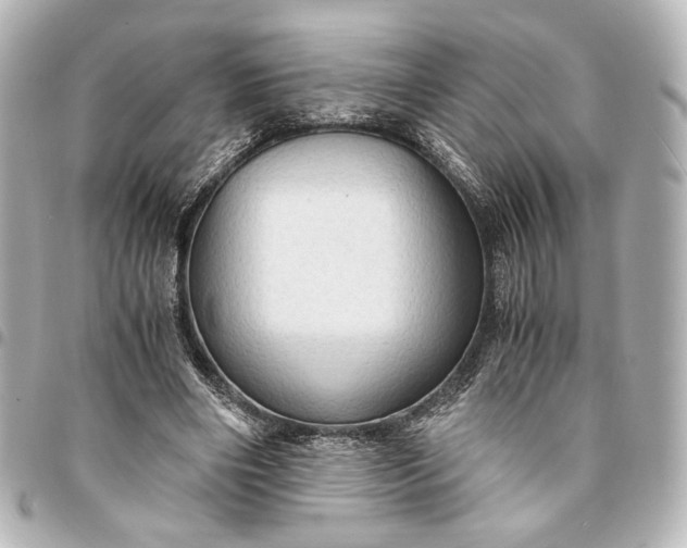 X0000095520490200712281503