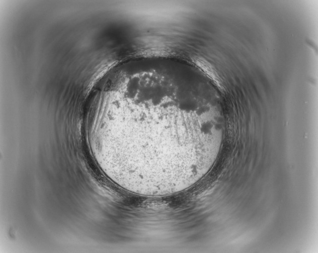 X0000095520491200712281503