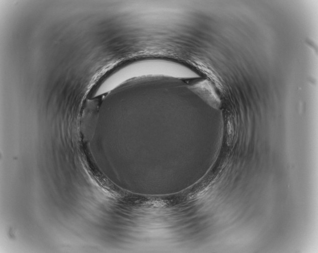 X0000095520492200712281503