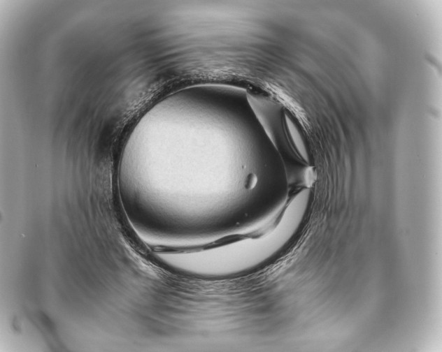 X0000095520493200712281503