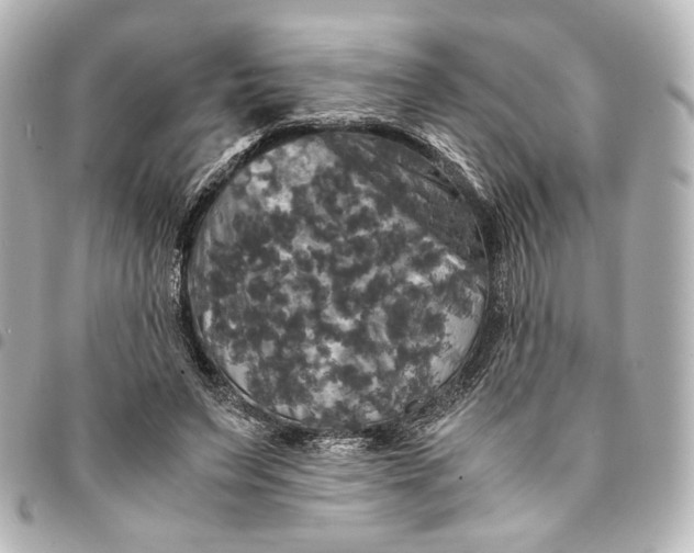 X0000095520495200712281503