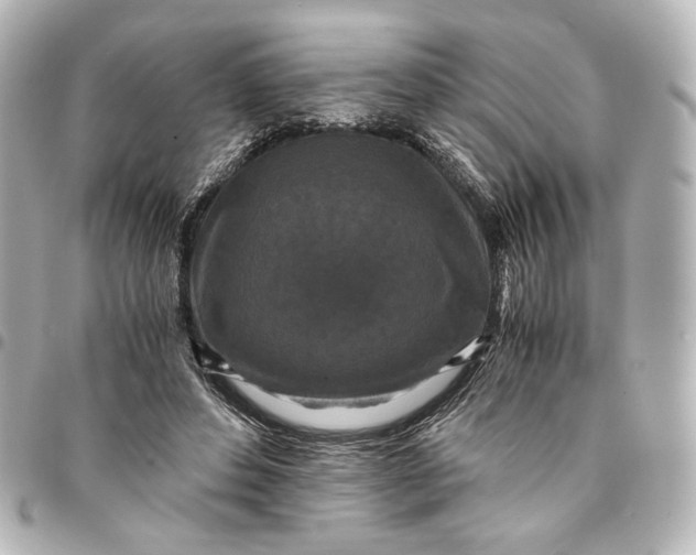 X0000095520496200712281503