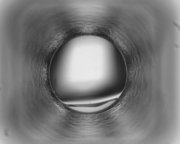 X0000095520497200712281503