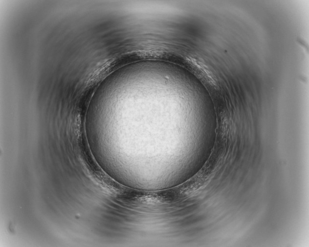 X0000095520498200712281503