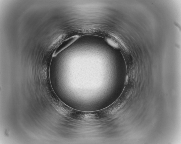 X0000095520501200712281503