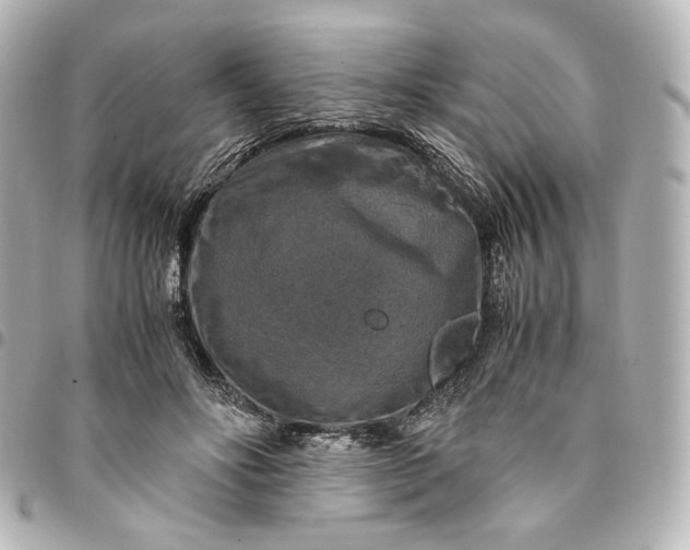 X0000095520502200712281503