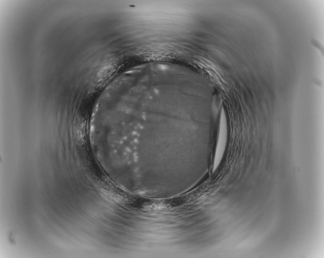 X0000095520503200712281503