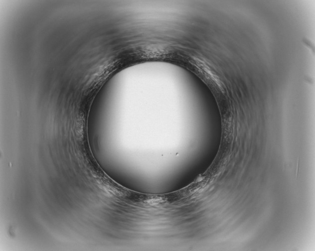 X0000095520505200712281503