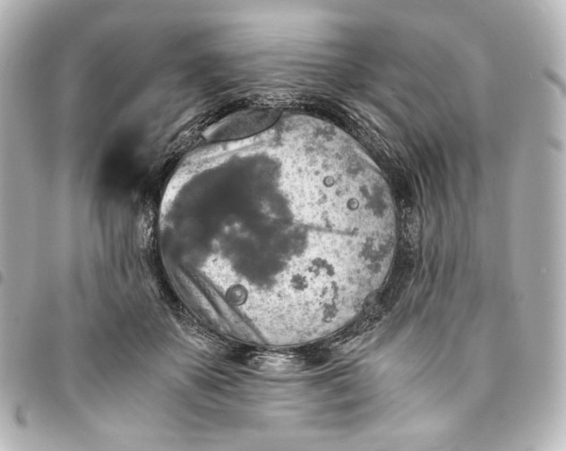 X0000095520507200712281503