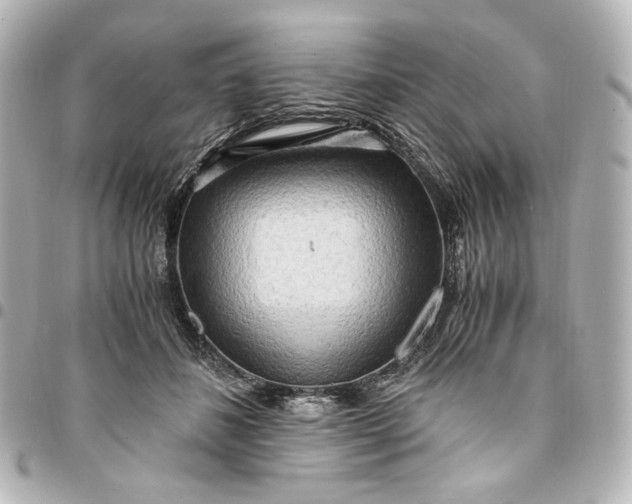 X0000095520508200712281503