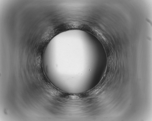 X0000095520509200712281503