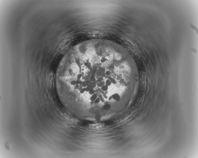 X0000095520511200712281503