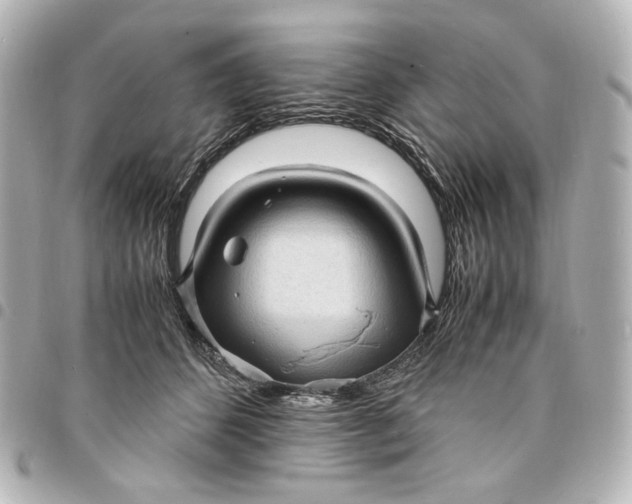 X0000095520512200712281503