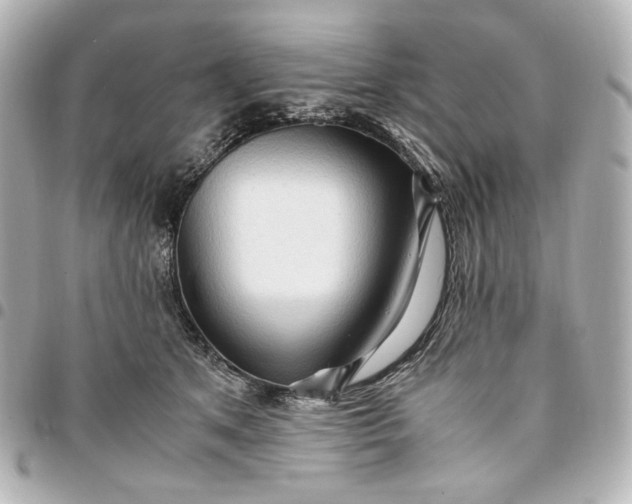 X0000095520513200712281503