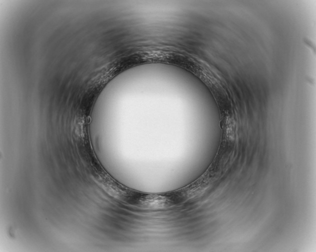 X0000095520514200712281503