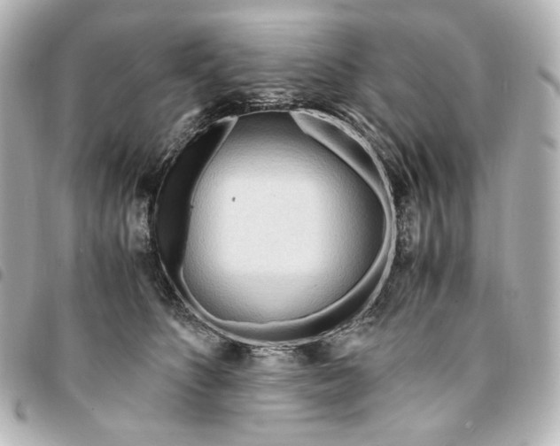 X0000095520516200712281503