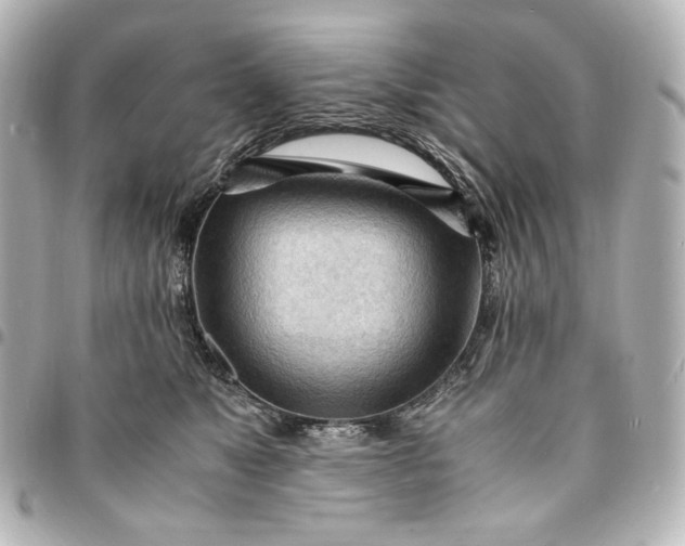 X0000095520517200712281503