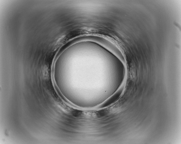 X0000095520520200712281503