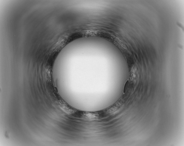 X0000095520522200712281503