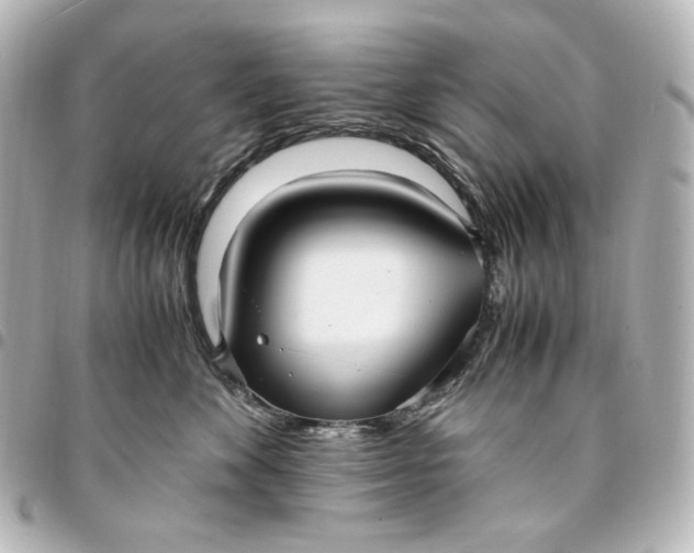 X0000095520524200712281502