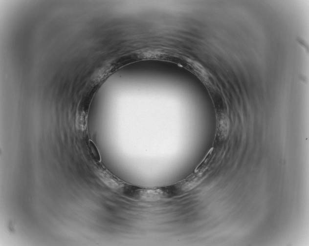 X0000095520525200712281502