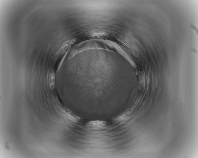 X0000095520526200712281502