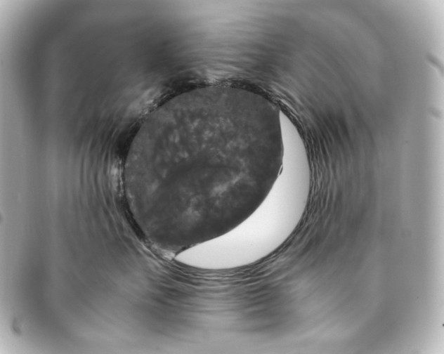 X0000095520527200712281502