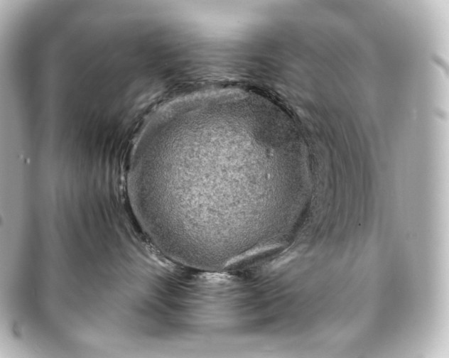 X0000095520528200712281502