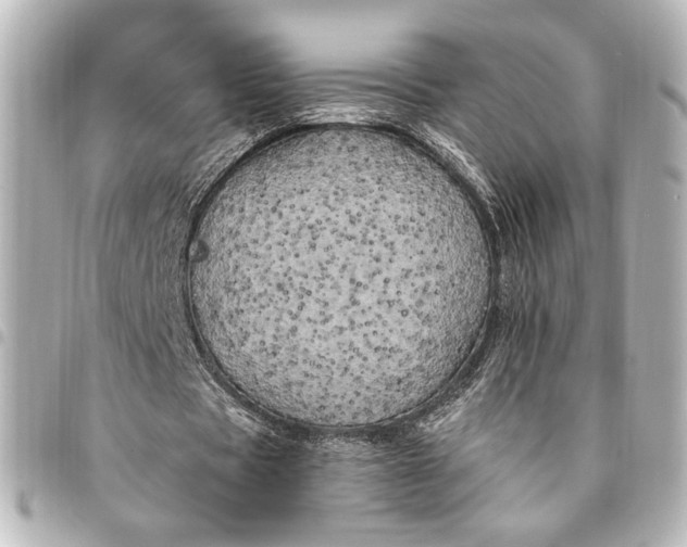 X0000095520529200712281502