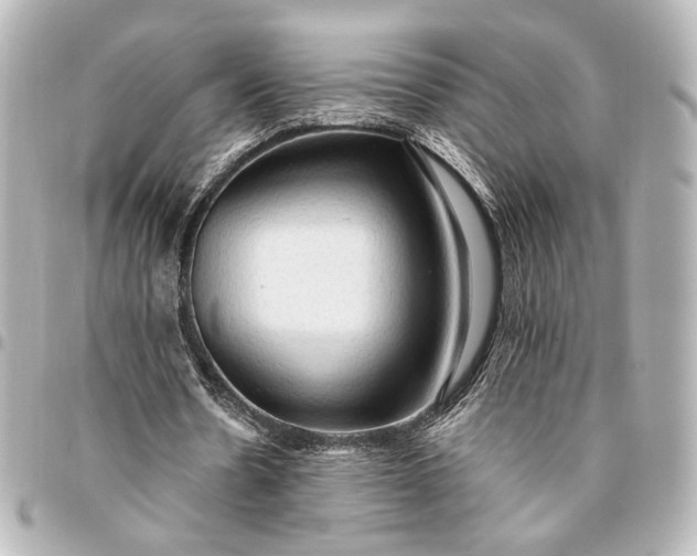 X0000095520530200712281502