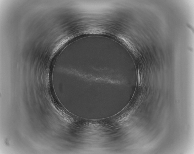 X0000095520531200712281502