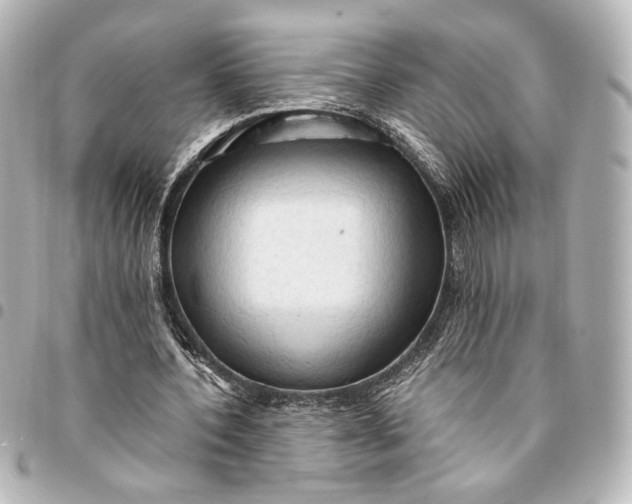 X0000095520532200712281502