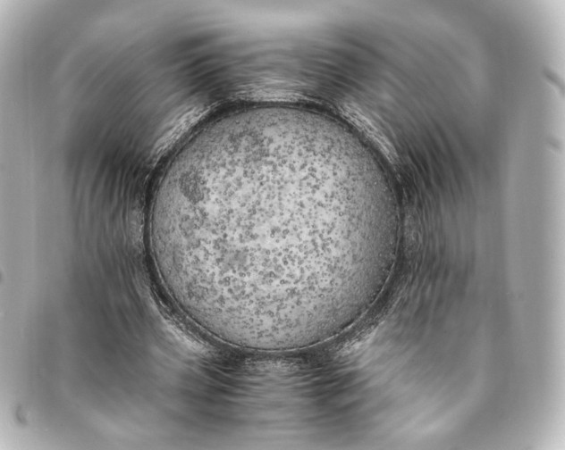 X0000095520533200712281502