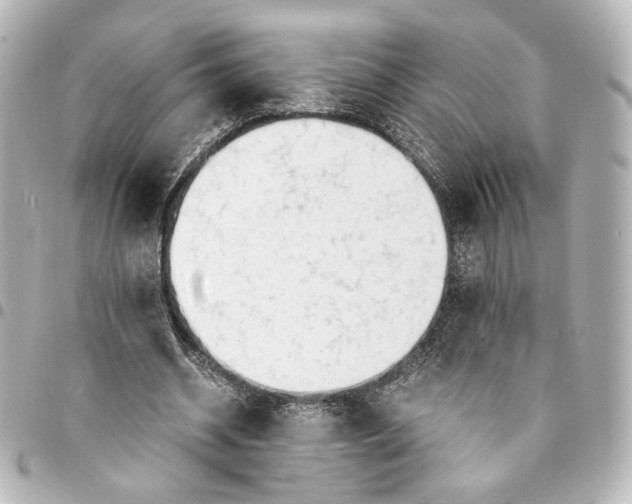 X0000095520534200712281502