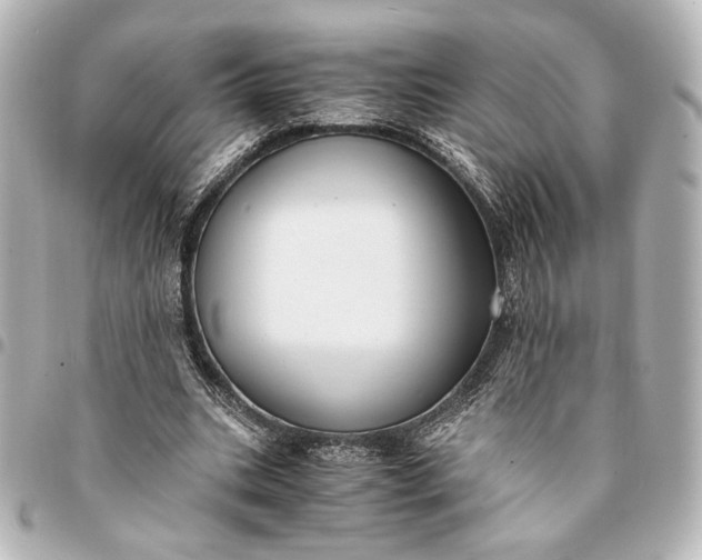 X0000095520535200712281502