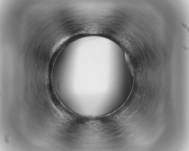 X0000095520536200712281502