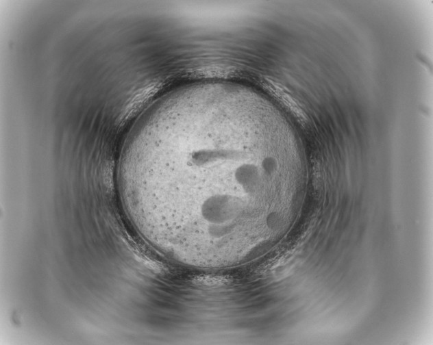 X0000095520537200712281502