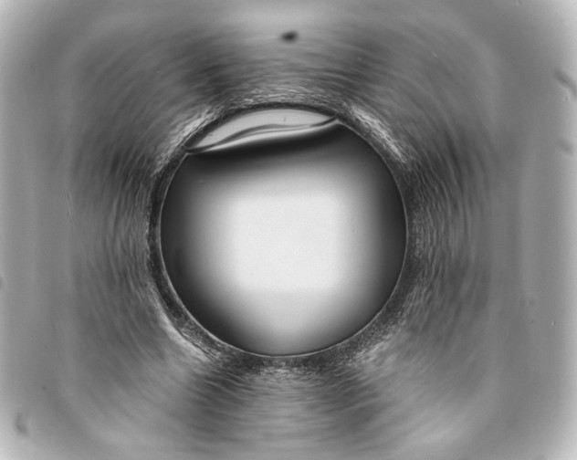 X0000095520538200712281502