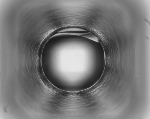 X0000095520540200712281502