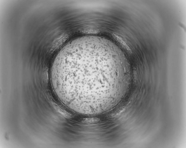 X0000095520541200712281502