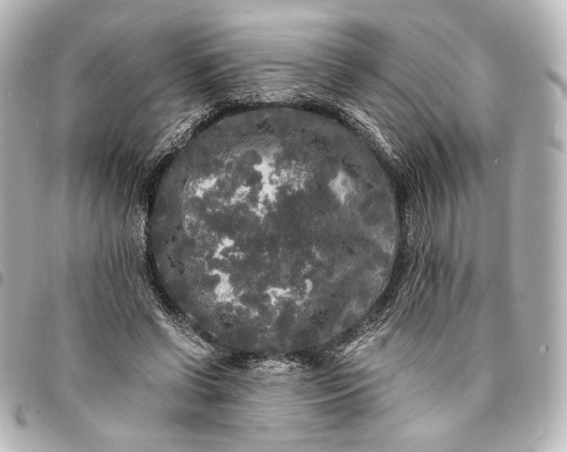 X0000095520542200712281502