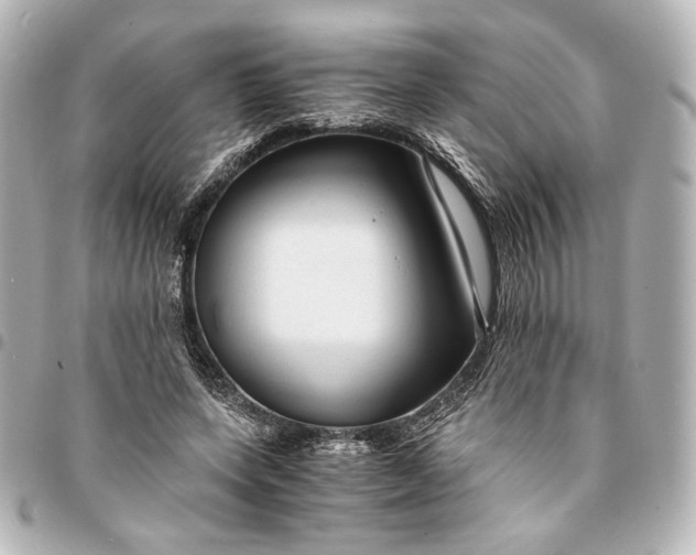 X0000095520543200712281502