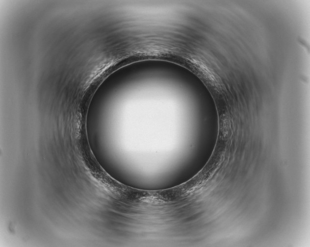 X0000095520544200712281502