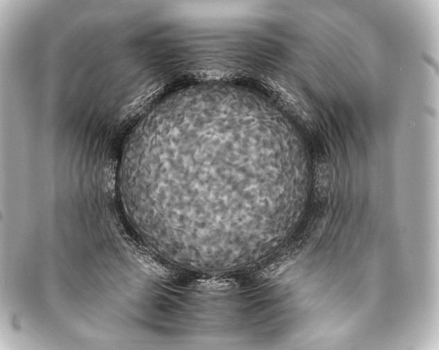 X0000095520545200712281502