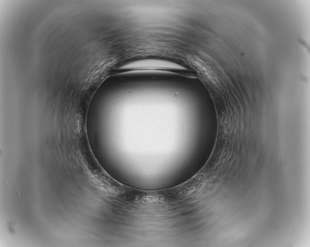 X0000095520546200712281502