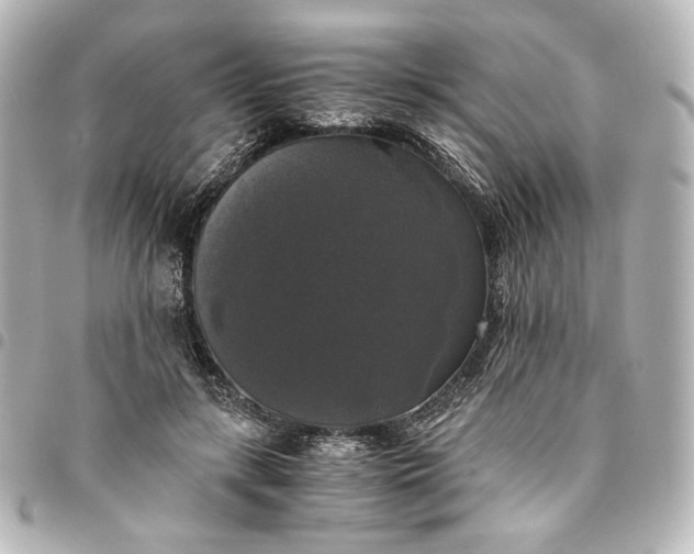 X0000095520547200712281502